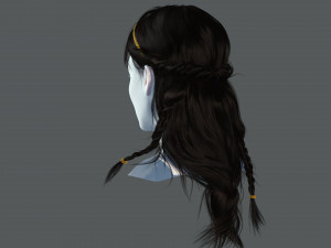 Realistic Female Hair Card 10 Low-poly 3D Model