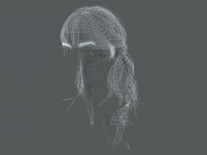 Realistic Female Hair Card 10 Low-poly 3D Model