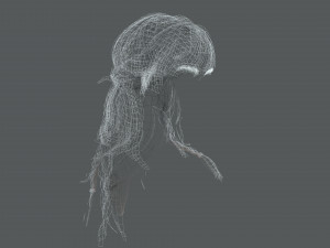 Realistic Female Hair Card 10 Low-poly 3D Model