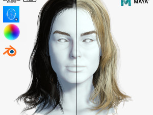 Realistic Female hair card 11 Low-poly 3D Model