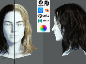Realistic Female hair card 11 Low-poly 3D Model