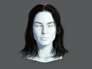 Realistic Female hair card 11 Low-poly 3D Model