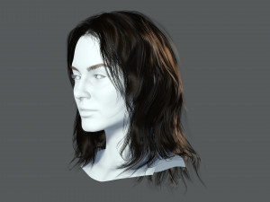 Realistic Female hair card 11 Low-poly 3D Model
