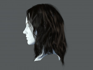 Realistic Female hair card 11 Low-poly 3D Model