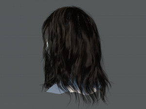 Realistic Female hair card 11 Low-poly 3D Model
