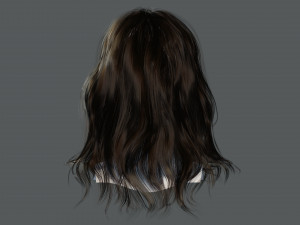 Realistic Female hair card 11 Low-poly 3D Model