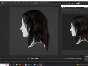 Realistic Female hair card 11 Low-poly 3D Model