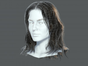 Realistic Female hair card 11 Low-poly 3D Model