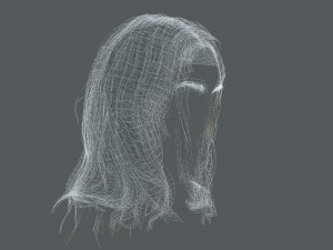 Realistic Female hair card 11 Low-poly 3D Model