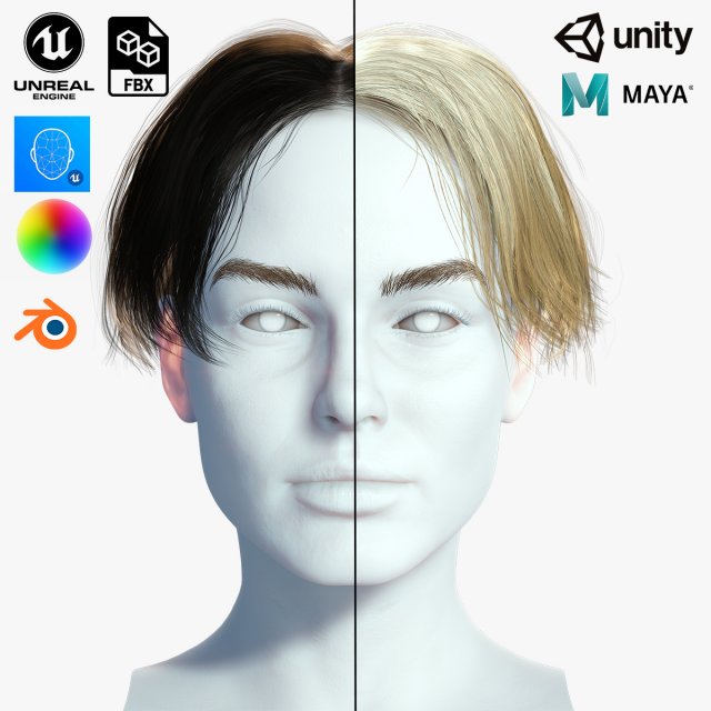 Realistic Female hair card 12 Low-poly Modèle 3D .c4d .max .obj .3ds .fbx .stl .blend 