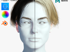 Realistic Female hair card 12 Low-poly Modello 3D