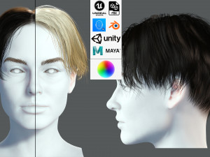 Realistic Female hair card 12 Low-poly Modèle 3D