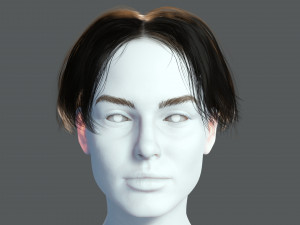 Realistic Female hair card 12 Low-poly Modèle 3D