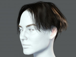 Realistic Female hair card 12 Low-poly Modèle 3D