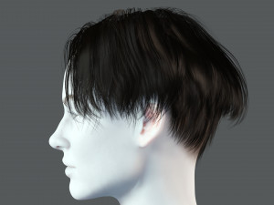 Realistic Female hair card 12 Low-poly Modèle 3D