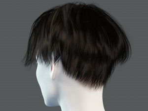 Realistic Female hair card 12 Low-poly Modèle 3D