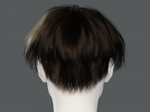 Realistic Female hair card 12 Low-poly Modèle 3D