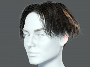 Realistic Female hair card 12 Low-poly Modèle 3D