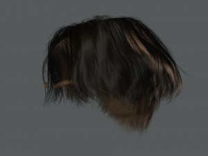 Realistic Female hair card 12 Low-poly Modèle 3D