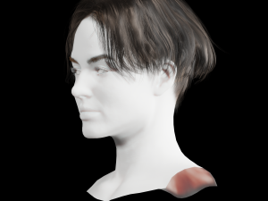 Realistic Female hair card 12 Low-poly Modèle 3D