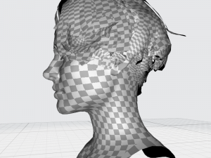 Realistic Female hair card 12 Low-poly Modèle 3D