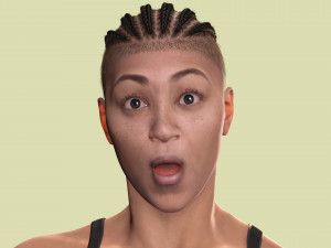 Zara - The Silent Fury Model 3D