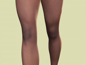 Zara - The Silent Fury Model 3D