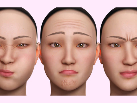Asian Woman Base Shape Clean 3D Model