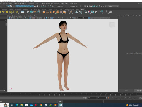 Noi - Asian Harmony Weaver 3Dモデル