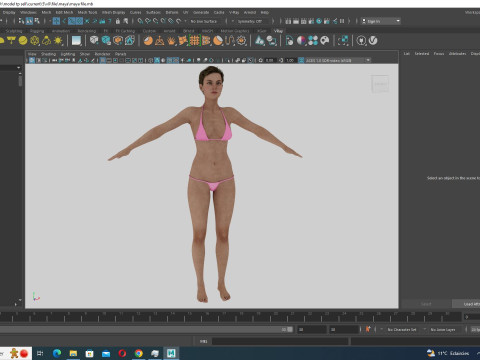 Amelia - Perfect Base Shape V3 Model 3D