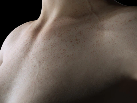 Ava - Realistic Woman Prefect Base Shape 3D Model