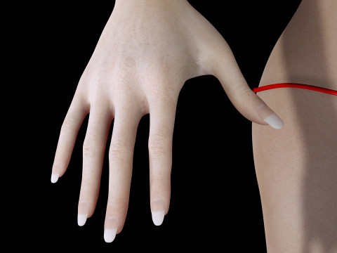Ava - Realistic Woman Prefect Base Shape 3D 모델
