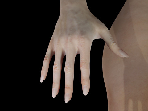 Rin - Realistic Asian Girl Hd 3D 模型