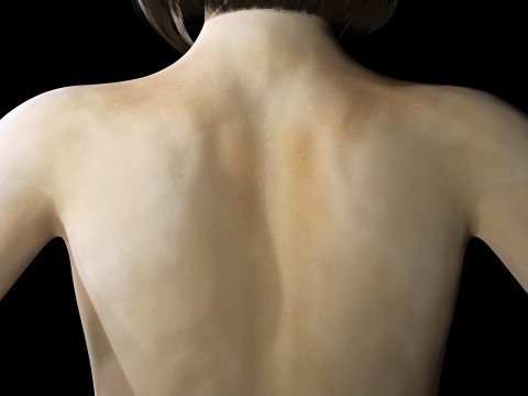 Rin - Realistic Asian Girl Hd 3D 模型