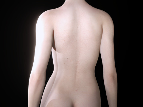 Isabella - Female Base Mesh Realistic Reference Model 3D