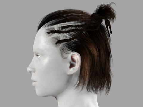 Realistic Female hair afro latina Braids Model 3D
