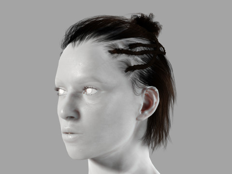 Realistic Female hair afro latina Braids Model 3D