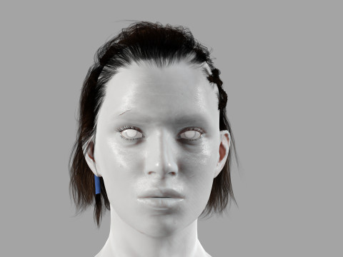 Realistic Female hair afro latina Braids Model 3D