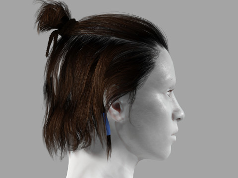 Realistic Female hair afro latina Braids Model 3D