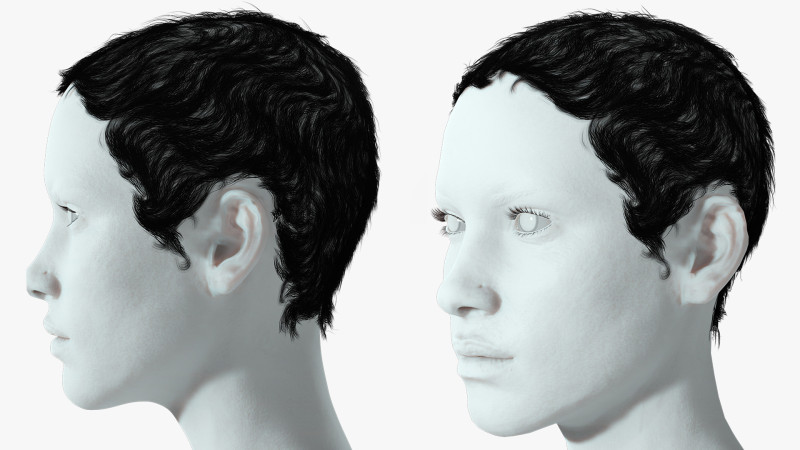 Realistic Female hair afro 3Dモデル .c4d .max .obj .3ds .fbx .stl .blend