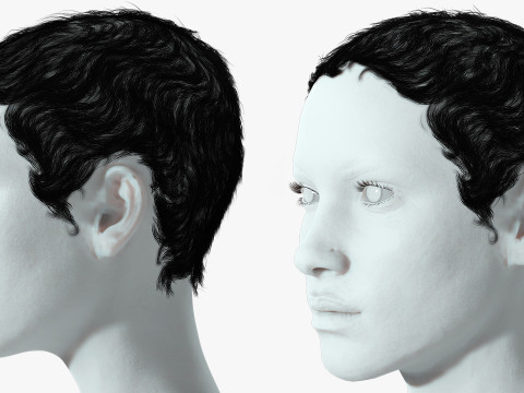 Realistic Female hair afro 3D Model