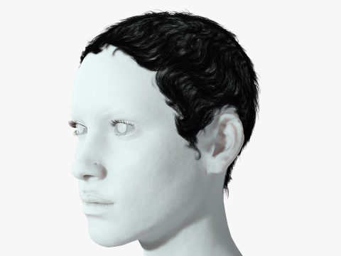 Realistic Female hair afro 3Dモデル