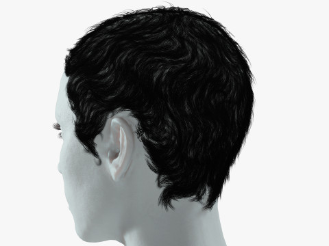 Realistic Female hair afro 3Dモデル