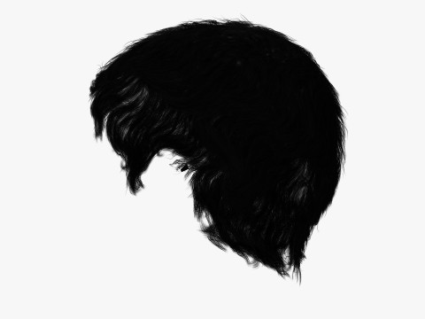 Realistic Female hair afro 3Dモデル