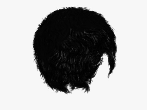 Realistic Female hair afro 3Dモデル