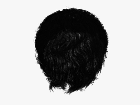 Realistic Female hair afro 3Dモデル