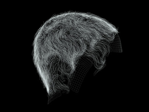 Realistic Female hair afro 3Dモデル