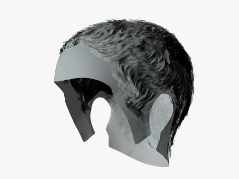Realistic Female hair afro 3Dモデル