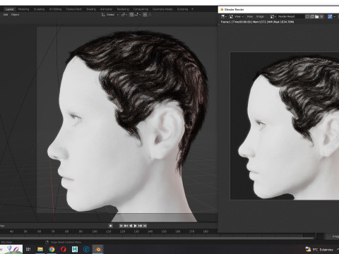 Realistic Female hair afro 3Dモデル