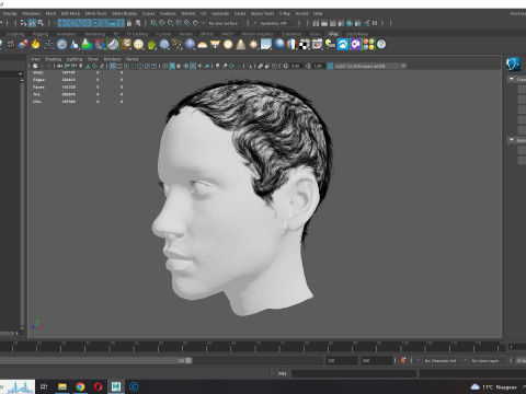 Realistic Female hair afro 3Dモデル